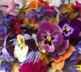 Edible flowers for early summer