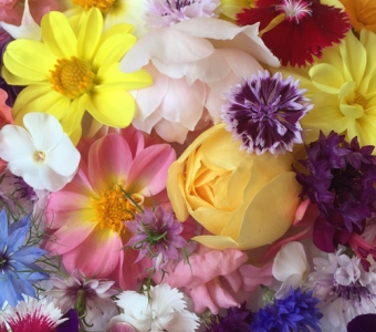 The end of the 2019 season