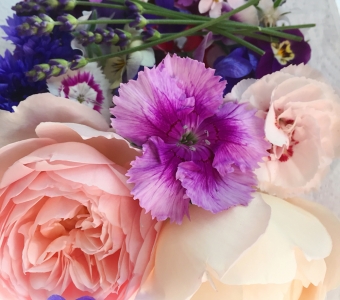 Early summer edible flower mixes