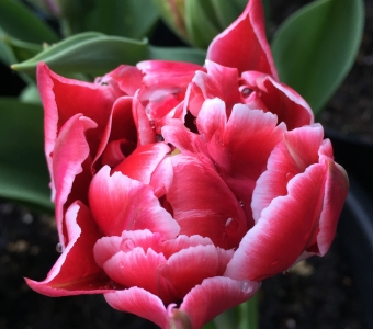 We’ll be back in the spring!