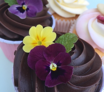 Special spring flower mix